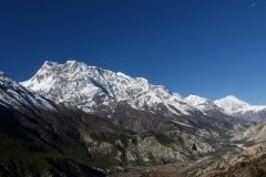 p1040833_tn