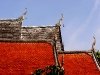 p1070984_tn