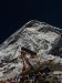 website_00026