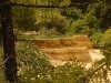 web_p1020060
