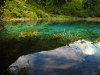web_img_0463