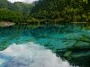 web_p1010886