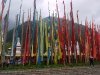 web_p1010976