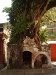 image00013
