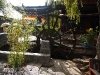 web_p1020411
