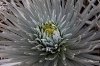 p1140139_tn