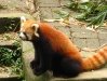 web_img_0365