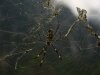 web_p1030056
